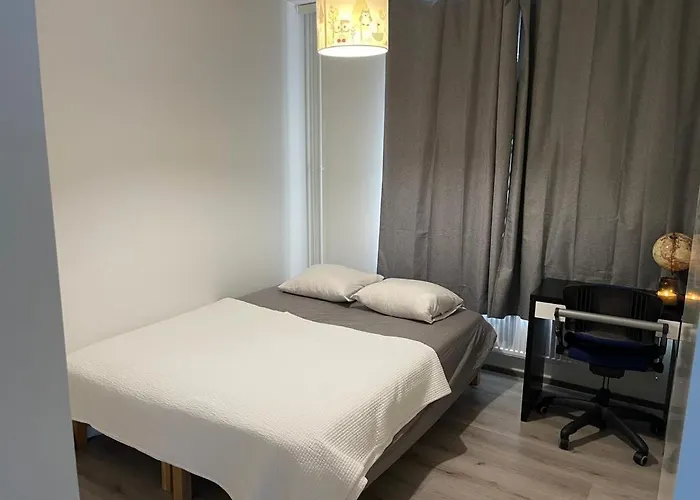 In A Shared Spacious Flat 홈스테이