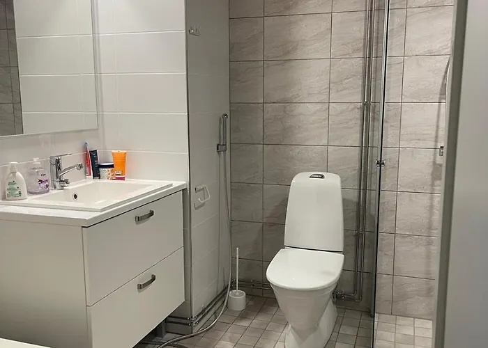 In A Shared Spacious Flat 홈스테이 *