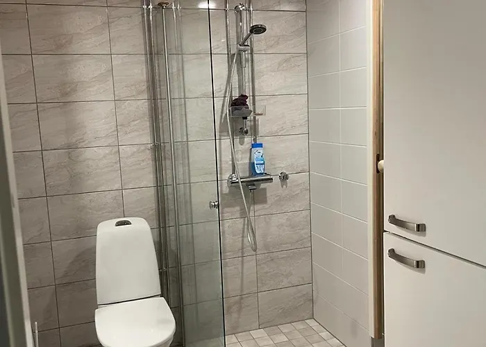 In A Shared Spacious Flat Esbo